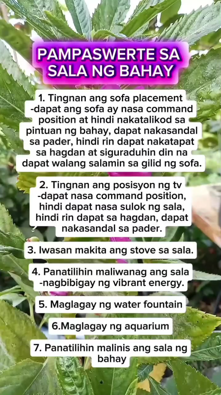 @🐝Tala Hives🐝