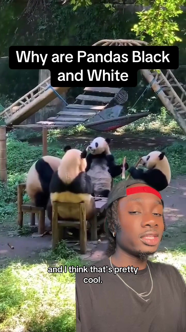 @mndiaye_97