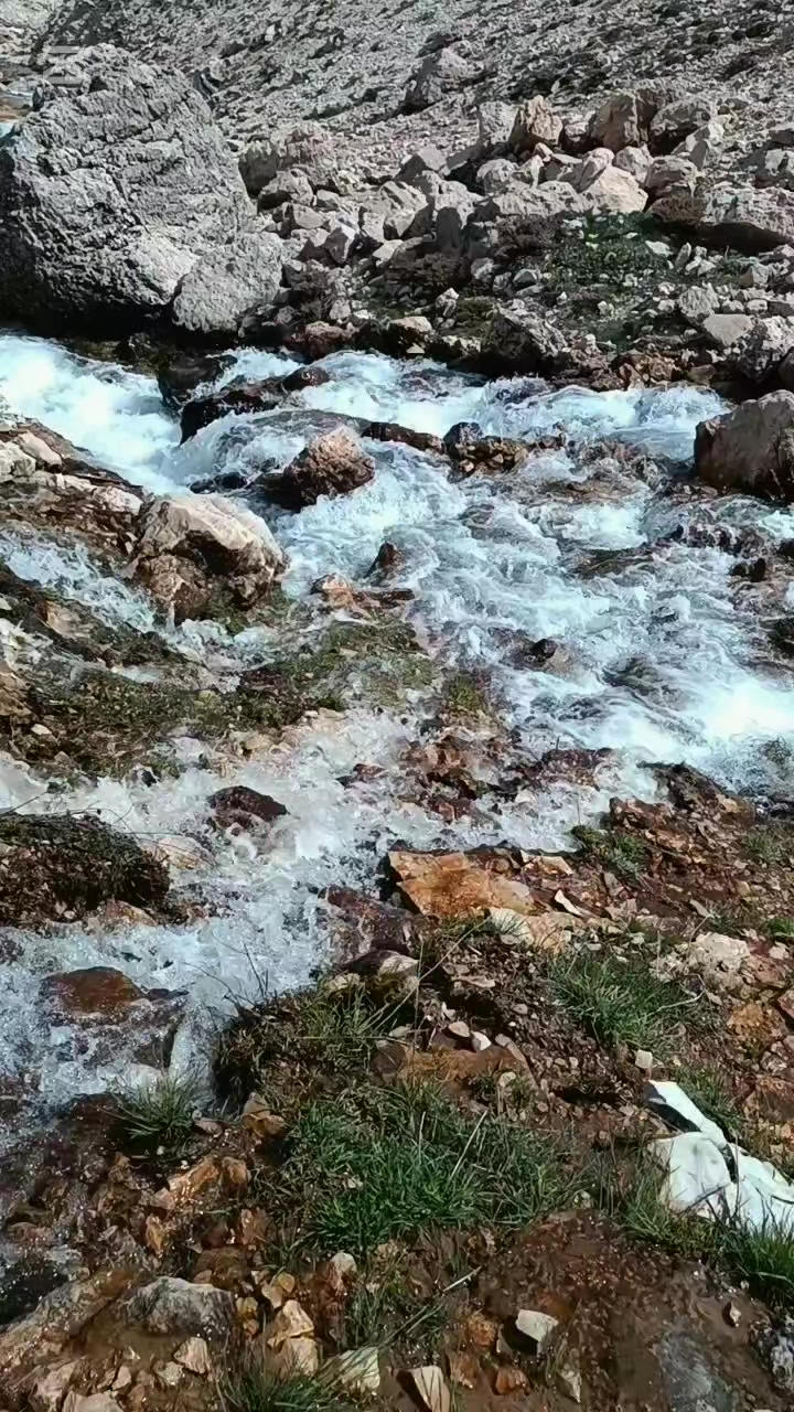 @DAĞCI.46