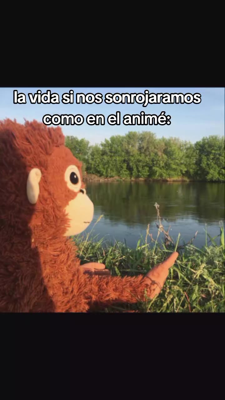 @🐉