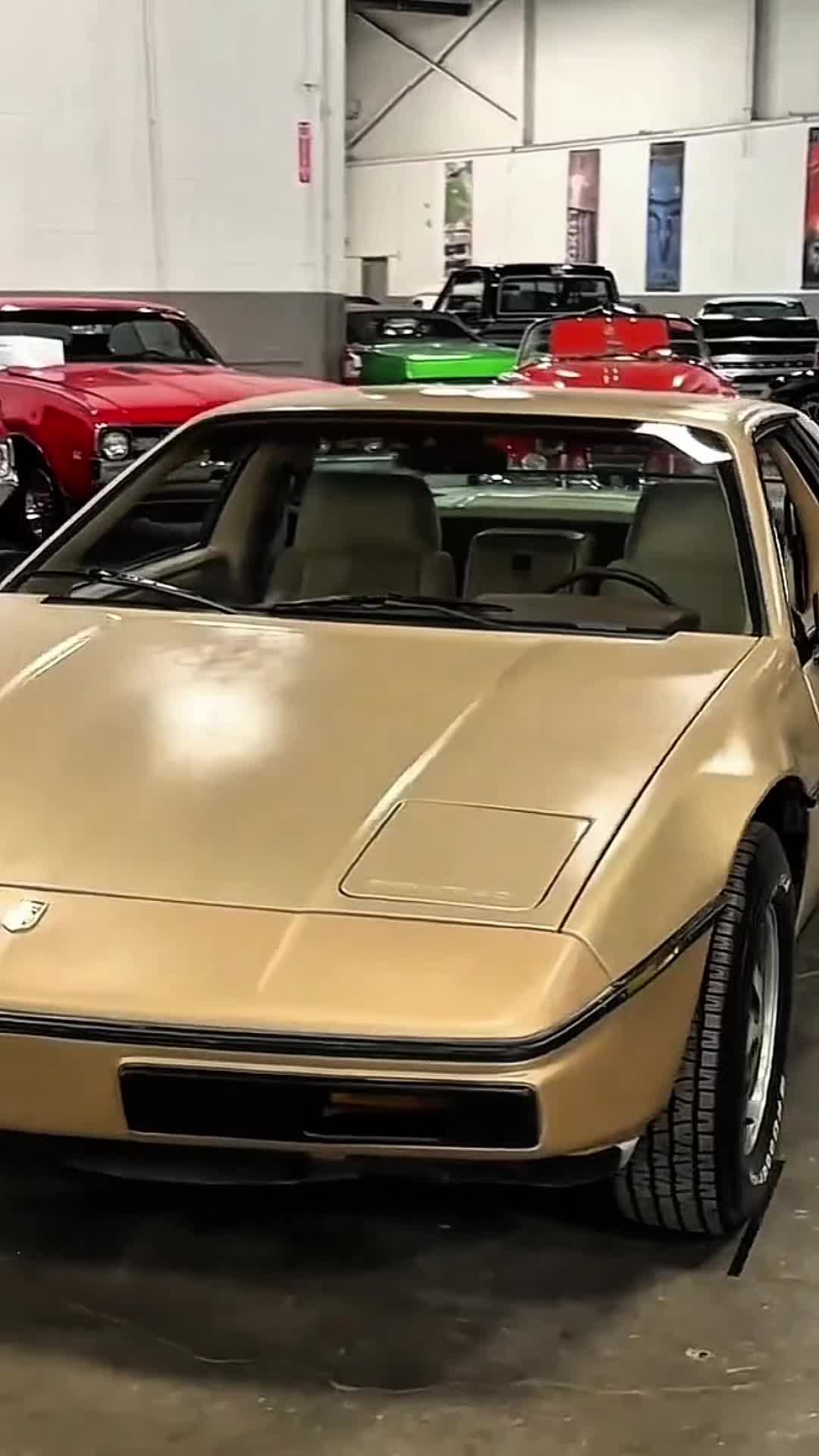 @𝙈𝙊𝙏𝙊𝙍𝙎 𝙈𝘼𝙉𝙄𝘼