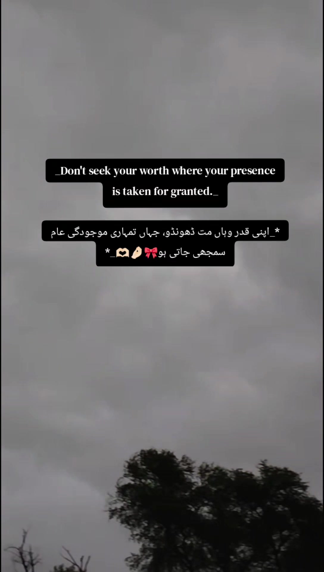 @𓍯˚⋆:ꌗ꓄ꋪꋬꋊꁃꍟꋪ 🖤