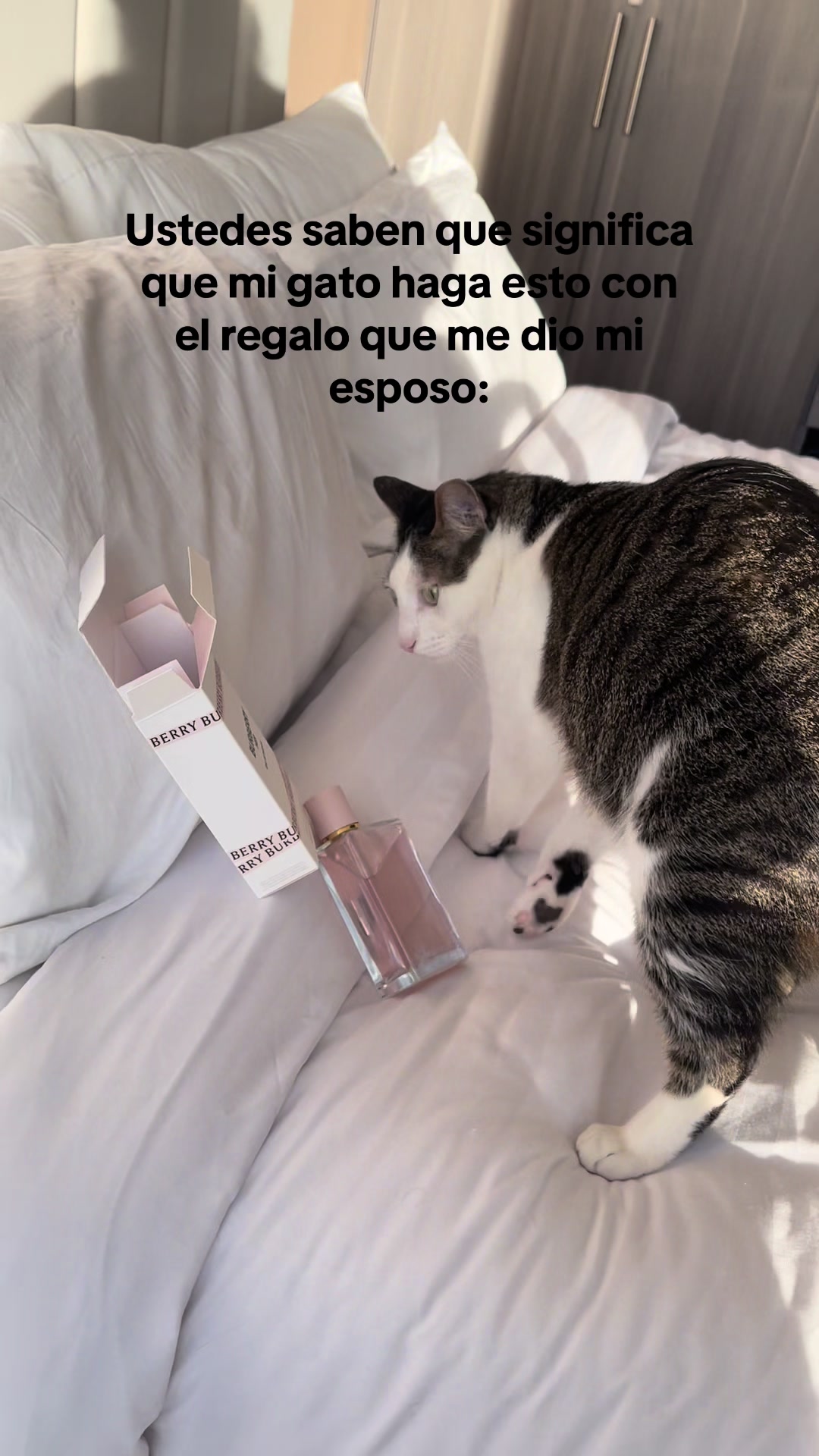 @Valentina Pérez