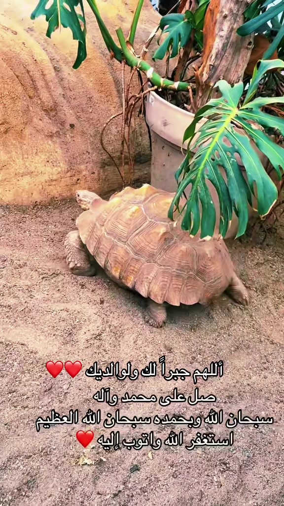@sedral47