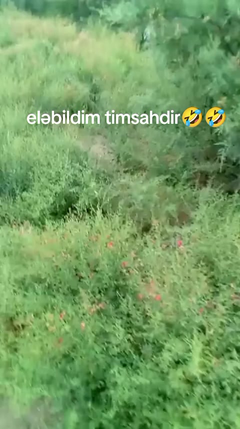 @🇦🇿🦂İMPERATOR♒♣️♠️