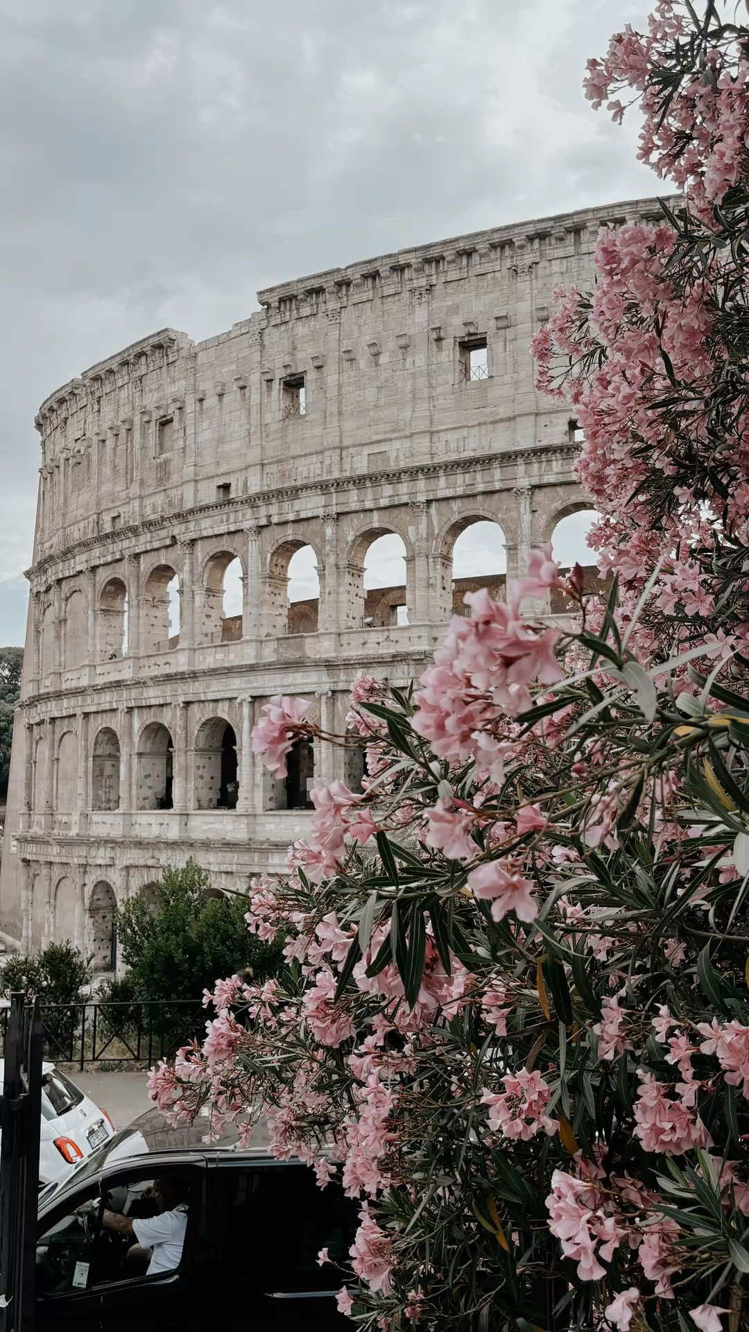 @🪽