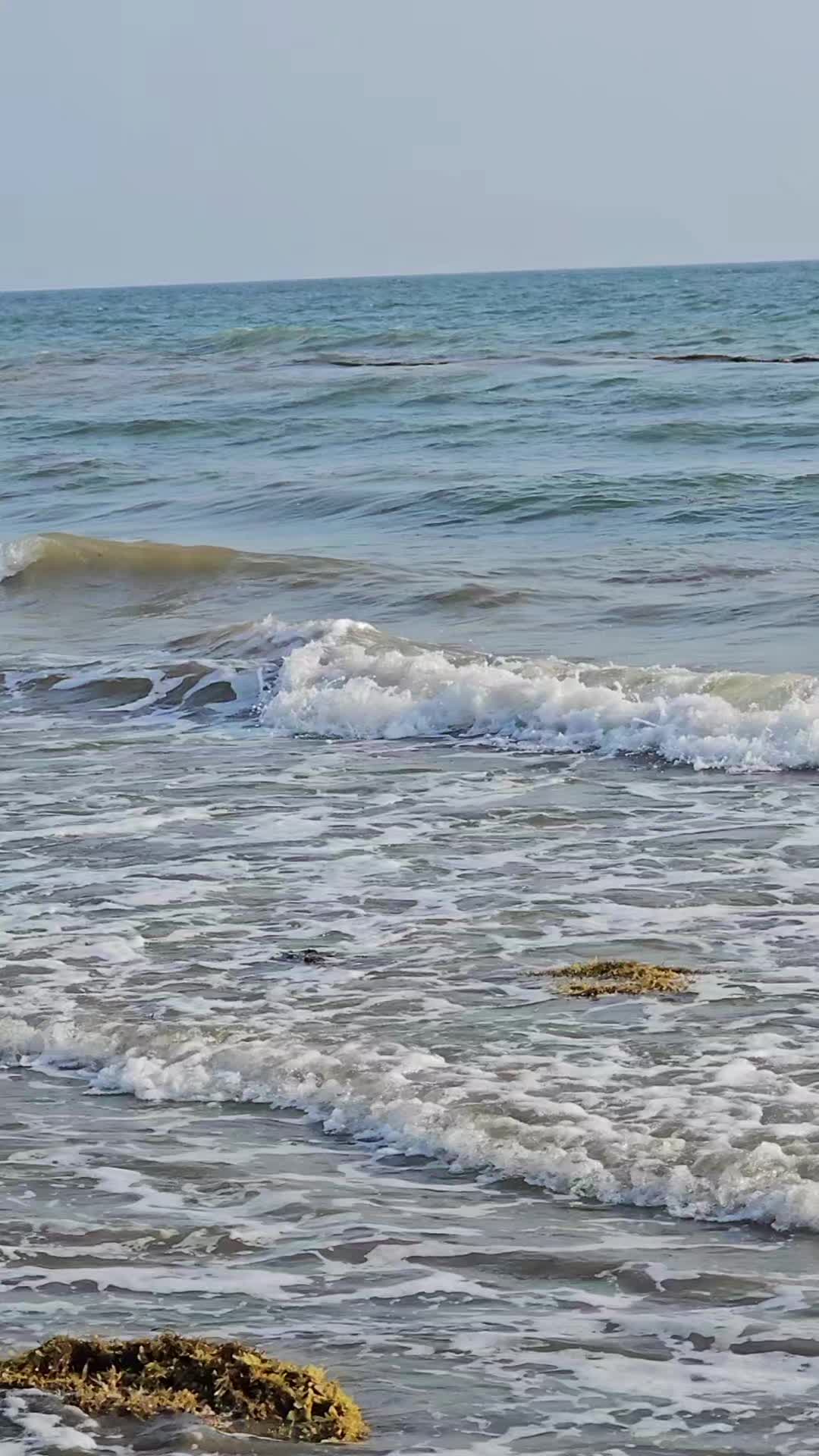 @رومانسيات الجنوب