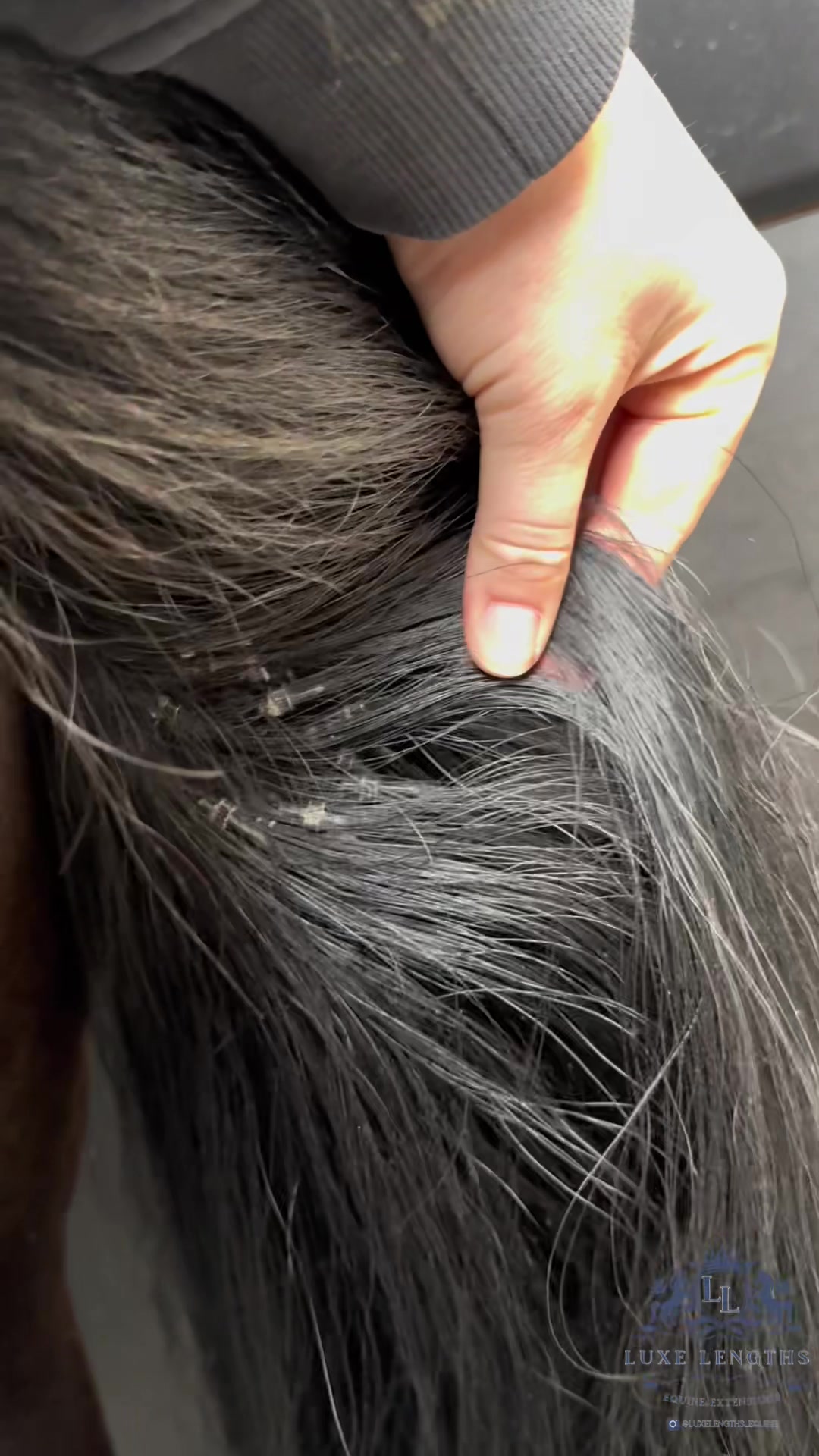 @Luxe Lengths Equine Extensions