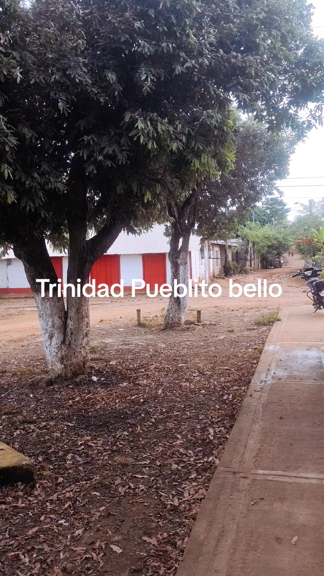 @Andrés Narváez Yanez