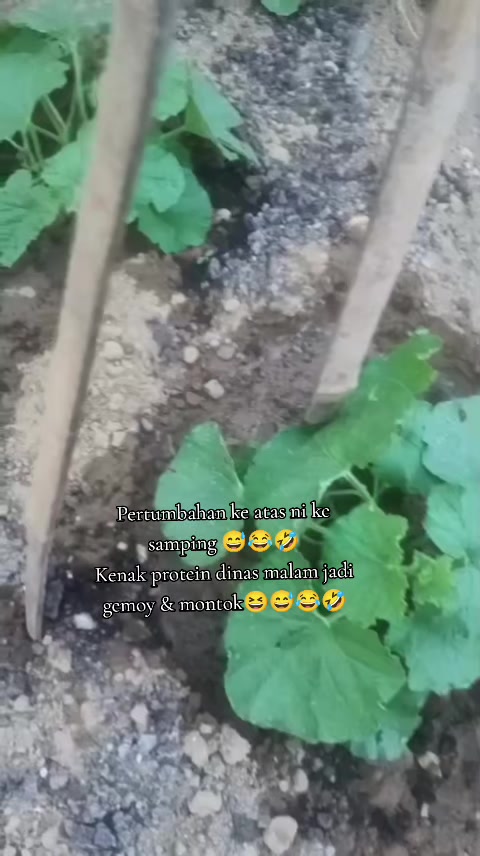 @Bidan Cantik