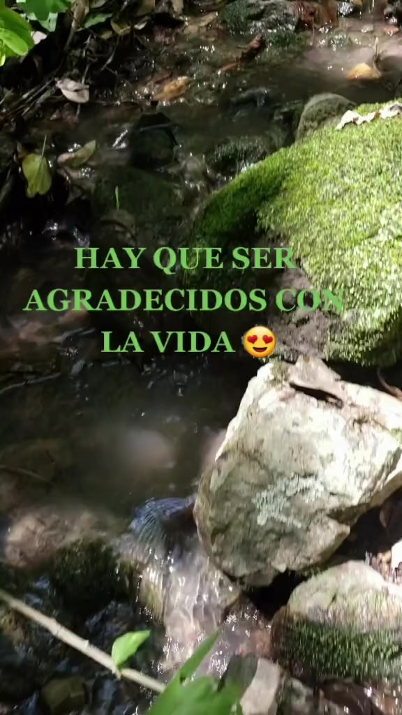 @Sara Chevez