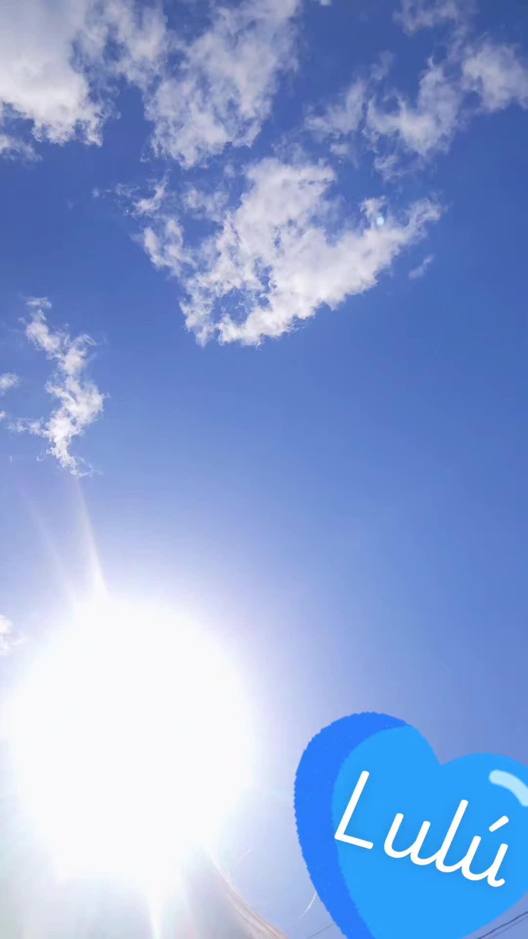 @internacional Express🦋 Lulú💙