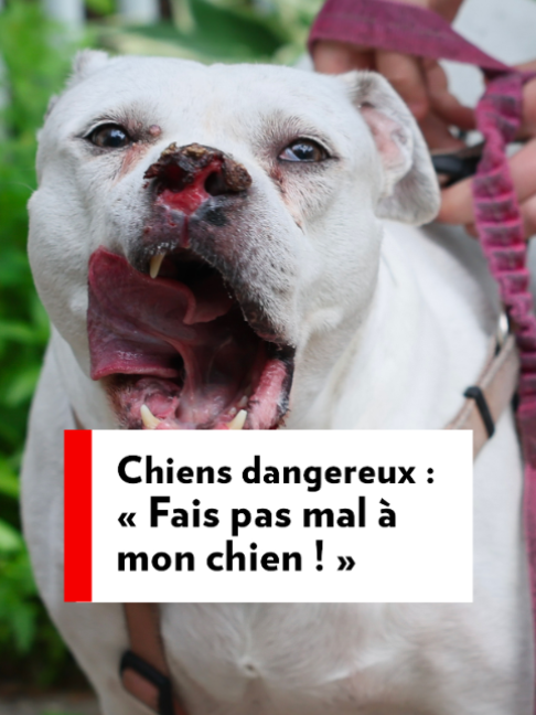 @La Presse