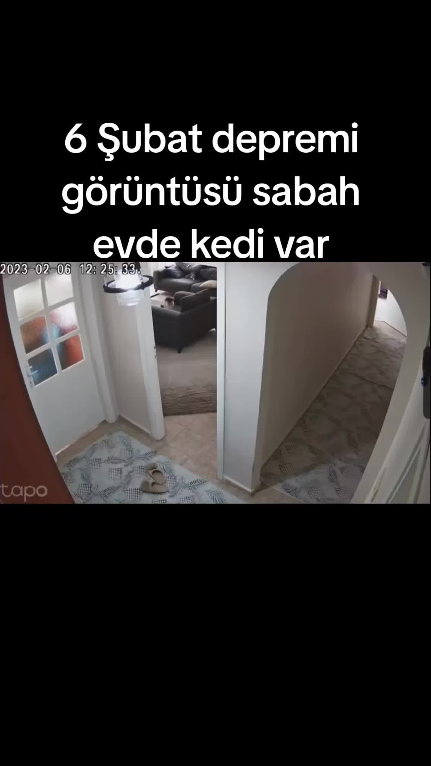 @Kemal