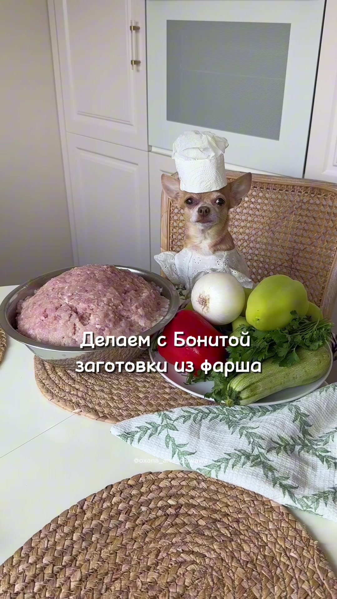 @Оксана & Чихуахуа Бонита