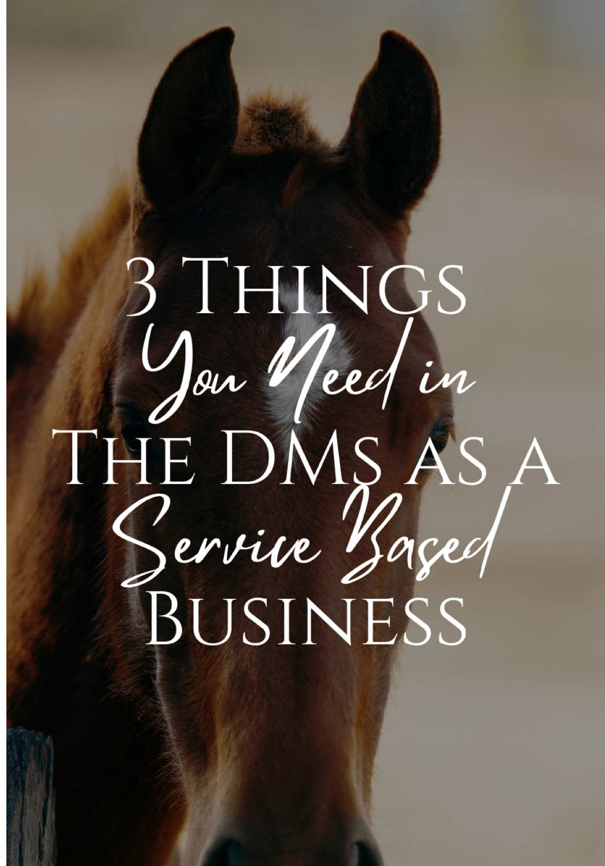 @Brittany Eckert | DM Strategy