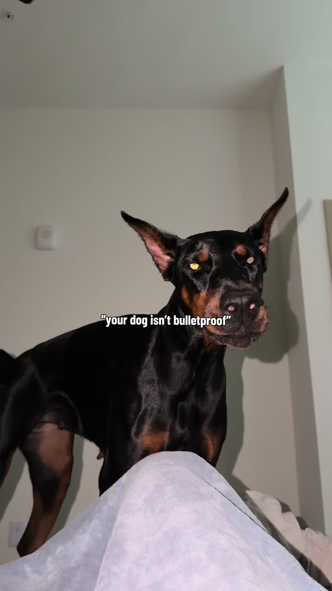 @n(b)ut(t) cracker