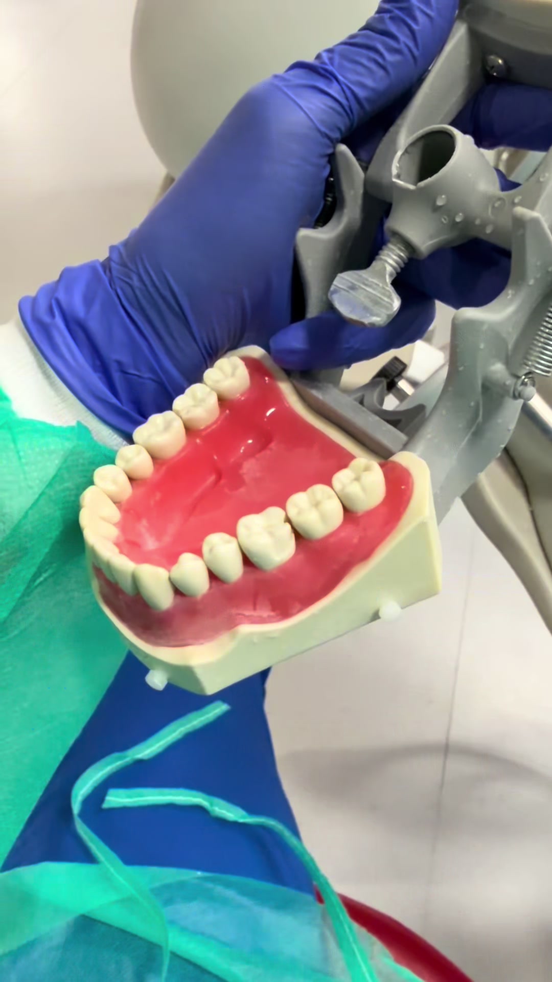 @Catherine | Dental Student 🦷