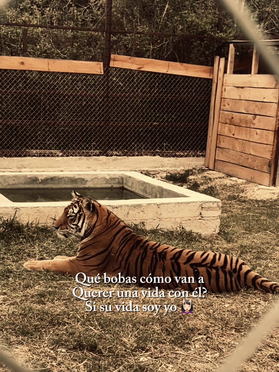 @𝓛𝓘𝓢𝓢𝓔𝓣💗