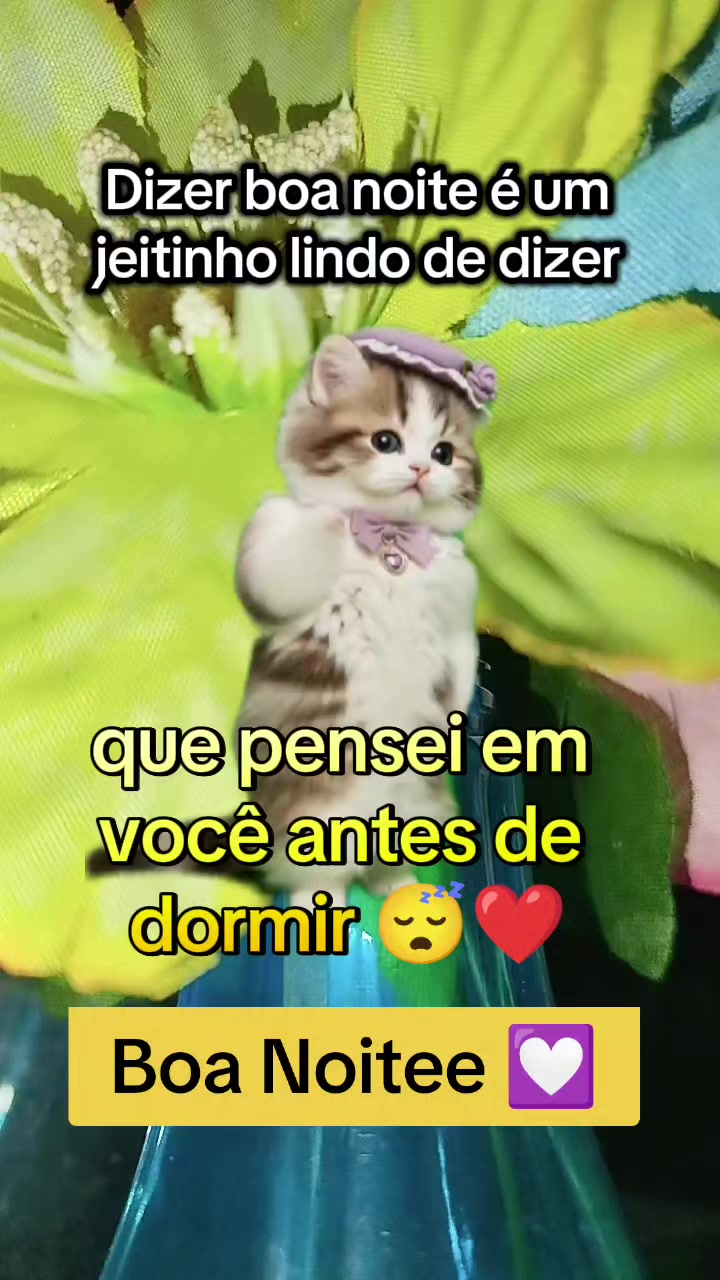 @girassol🌻