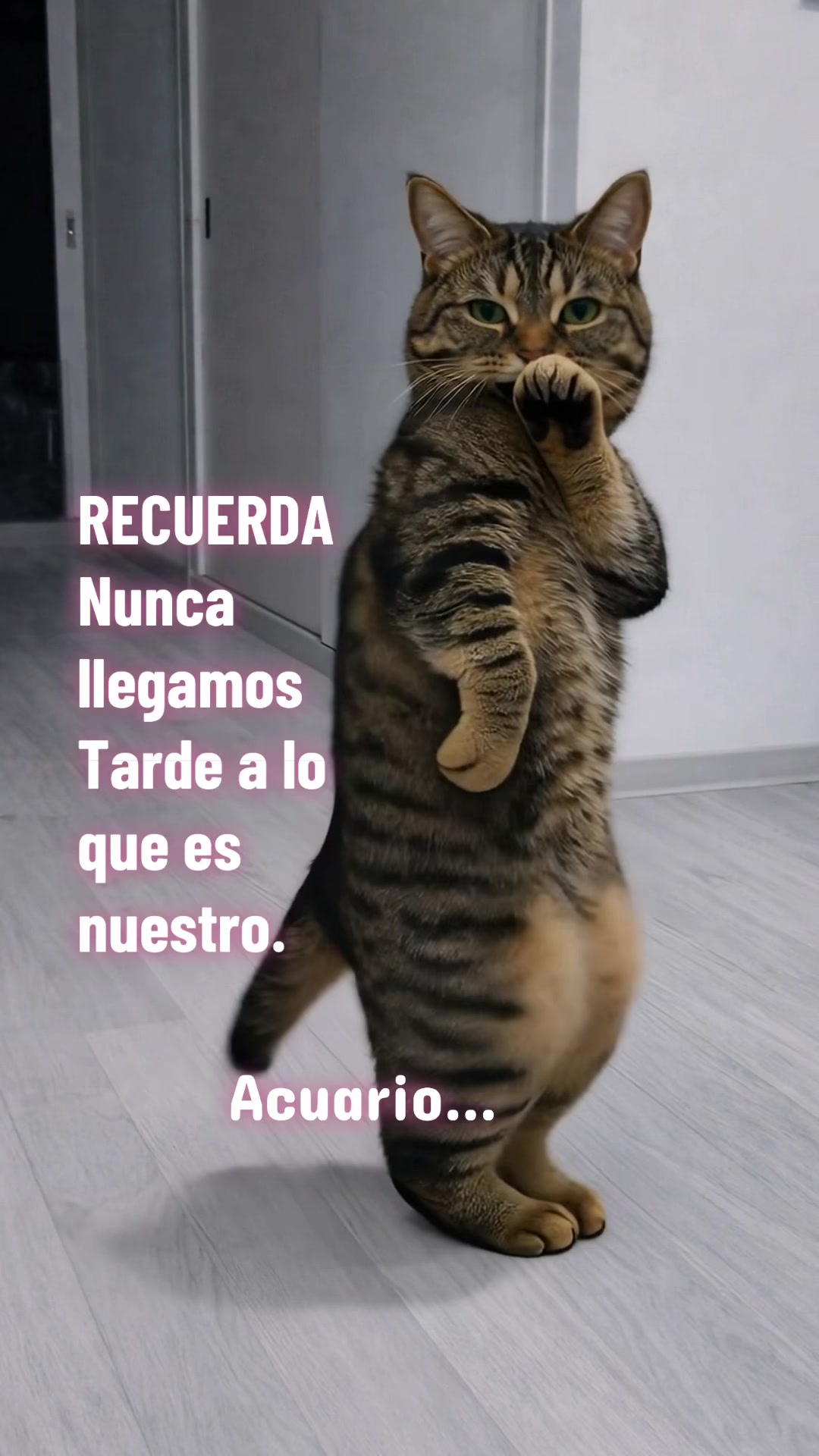 @Igualiza🦎