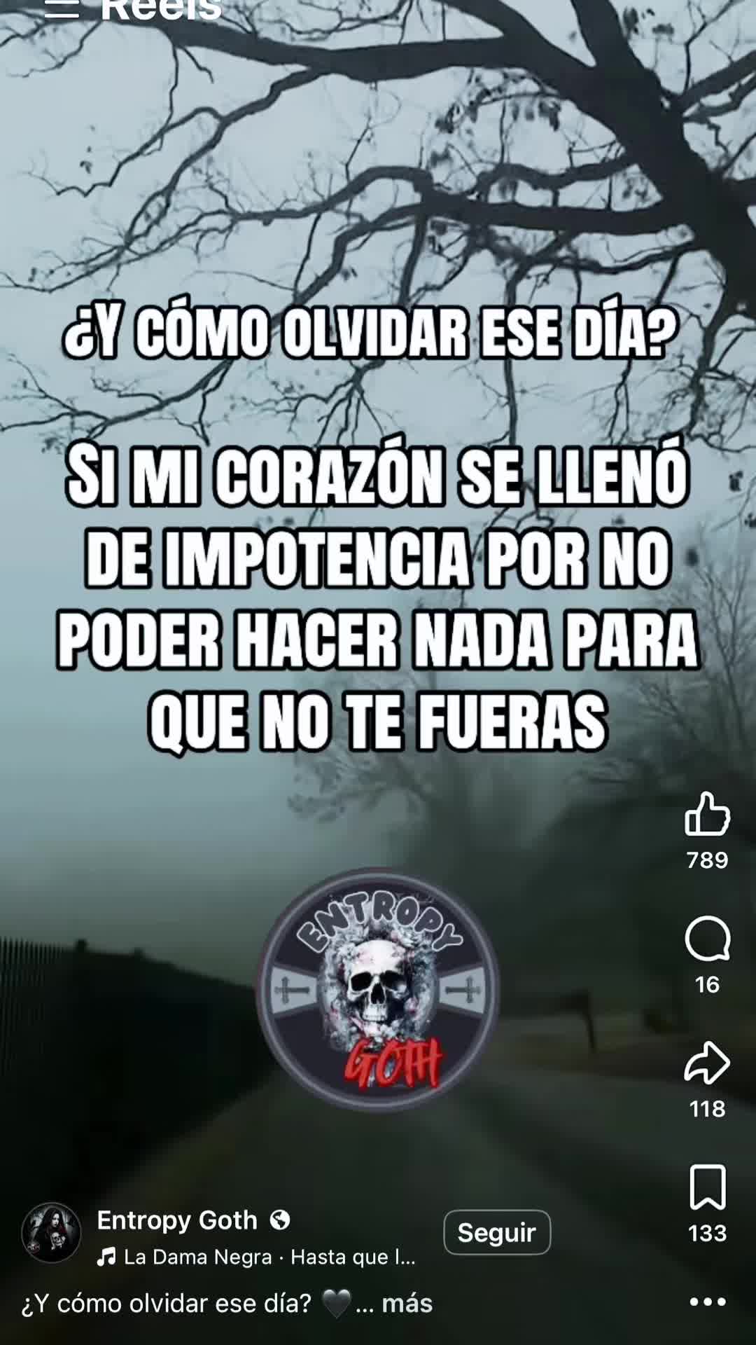 @daisypizarro21
