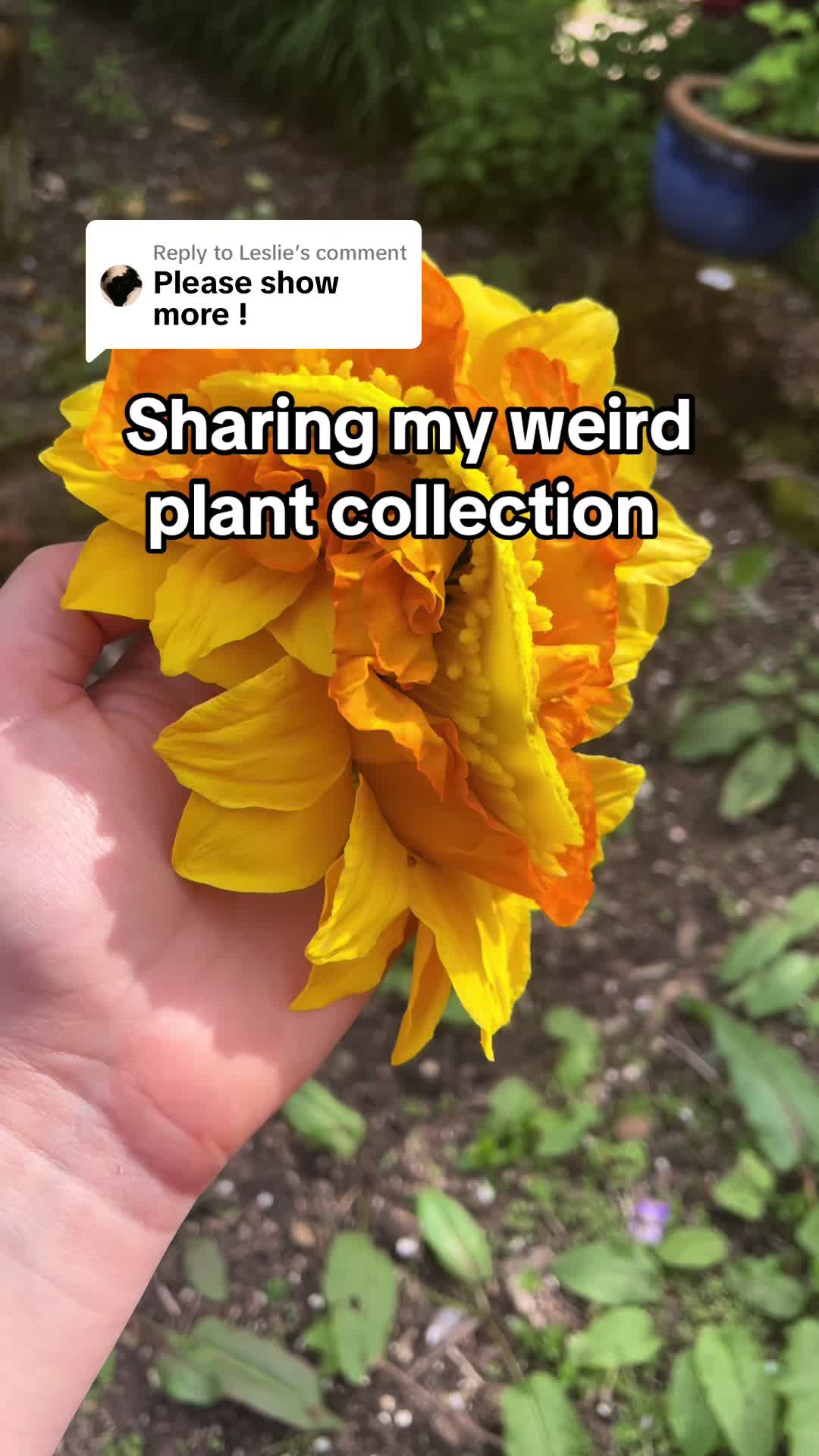 @Hydraulis
