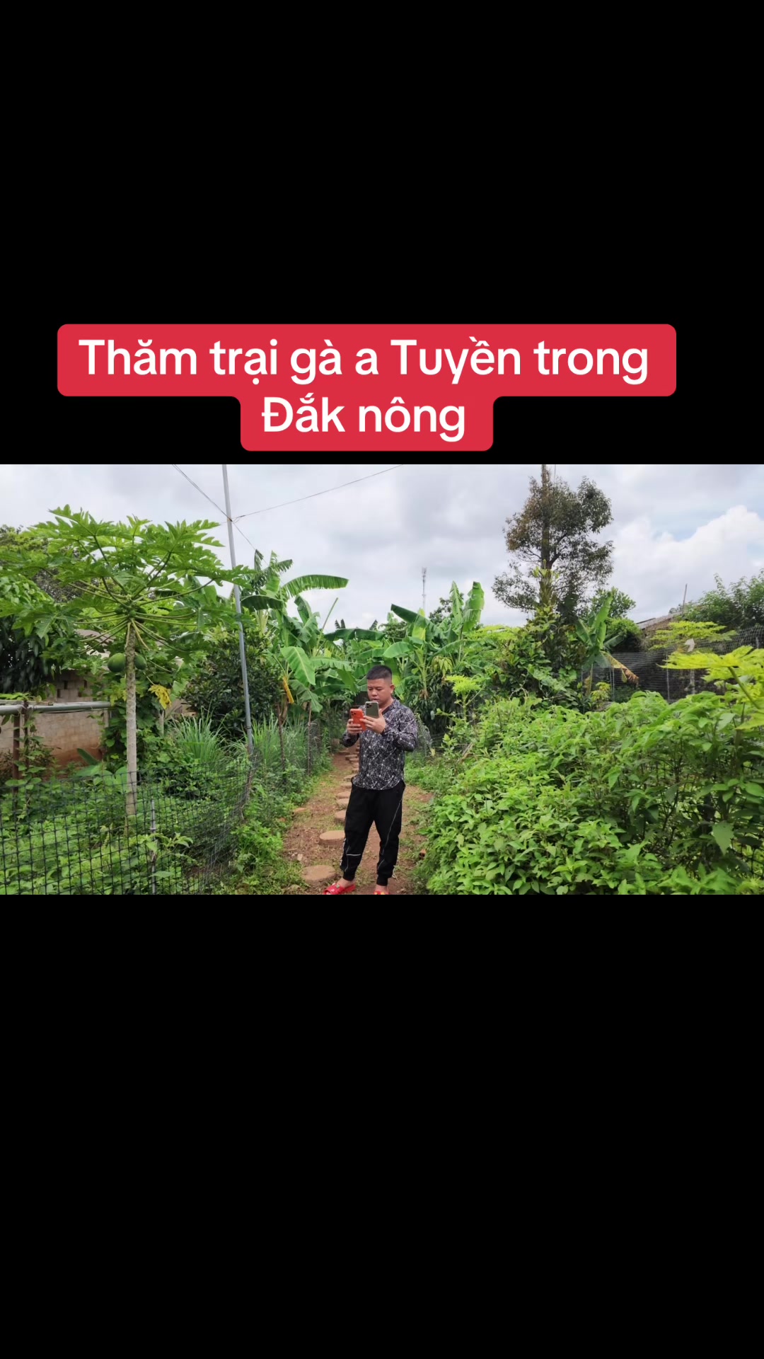 @Quyền Ba Vì