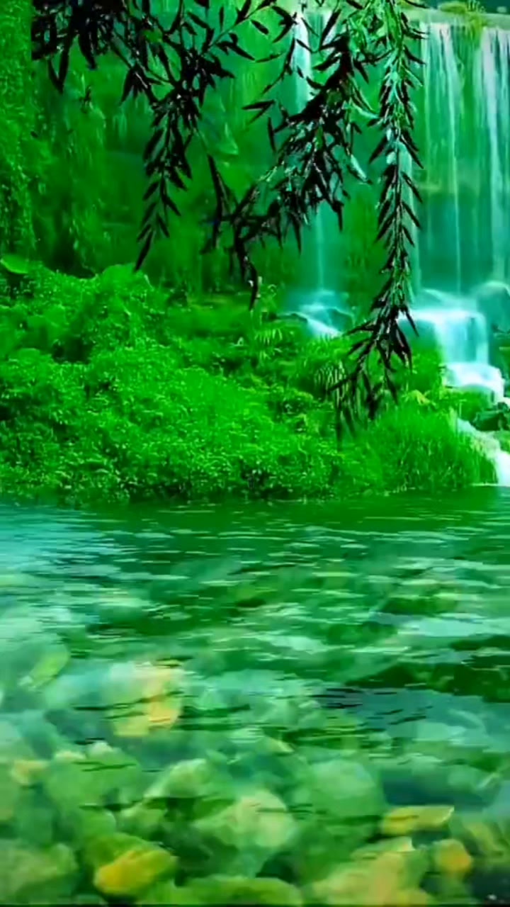 @Bakht Munir mohmand