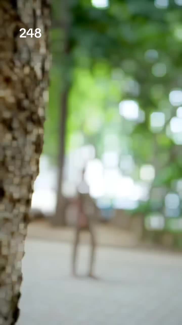 @பேப்பர் ஐடி    248 🌹1
