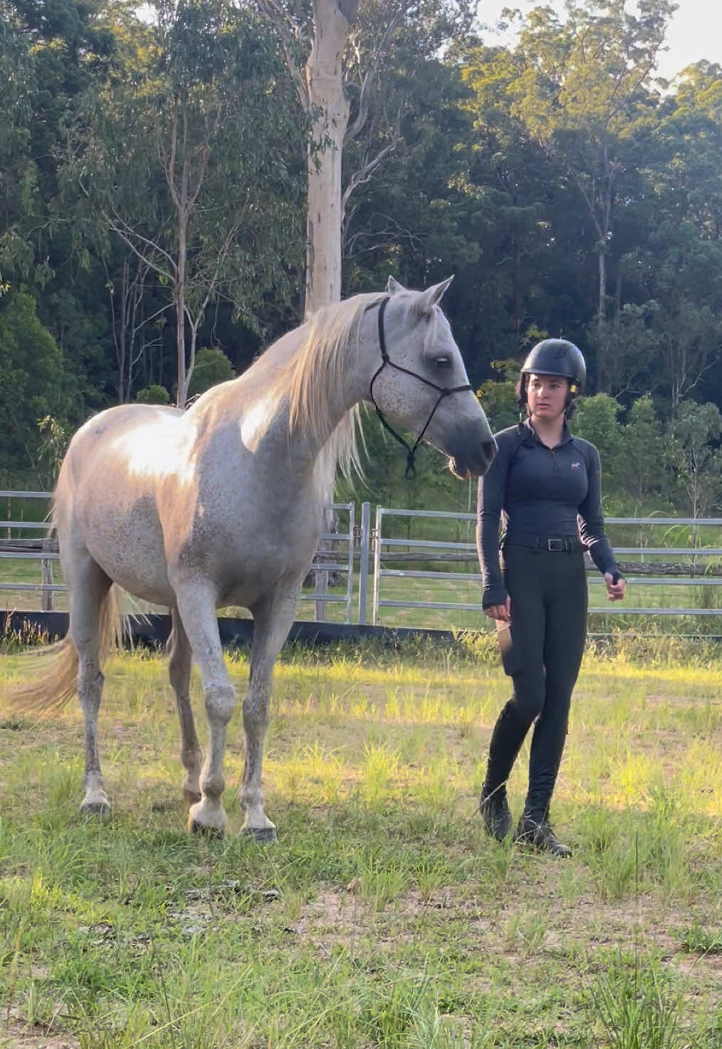 @Double F Performance Horses