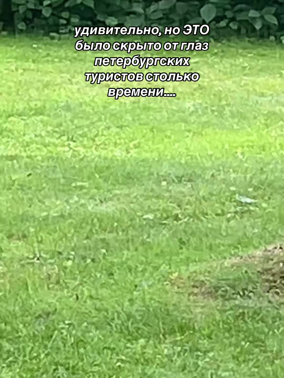 @ап0феоз