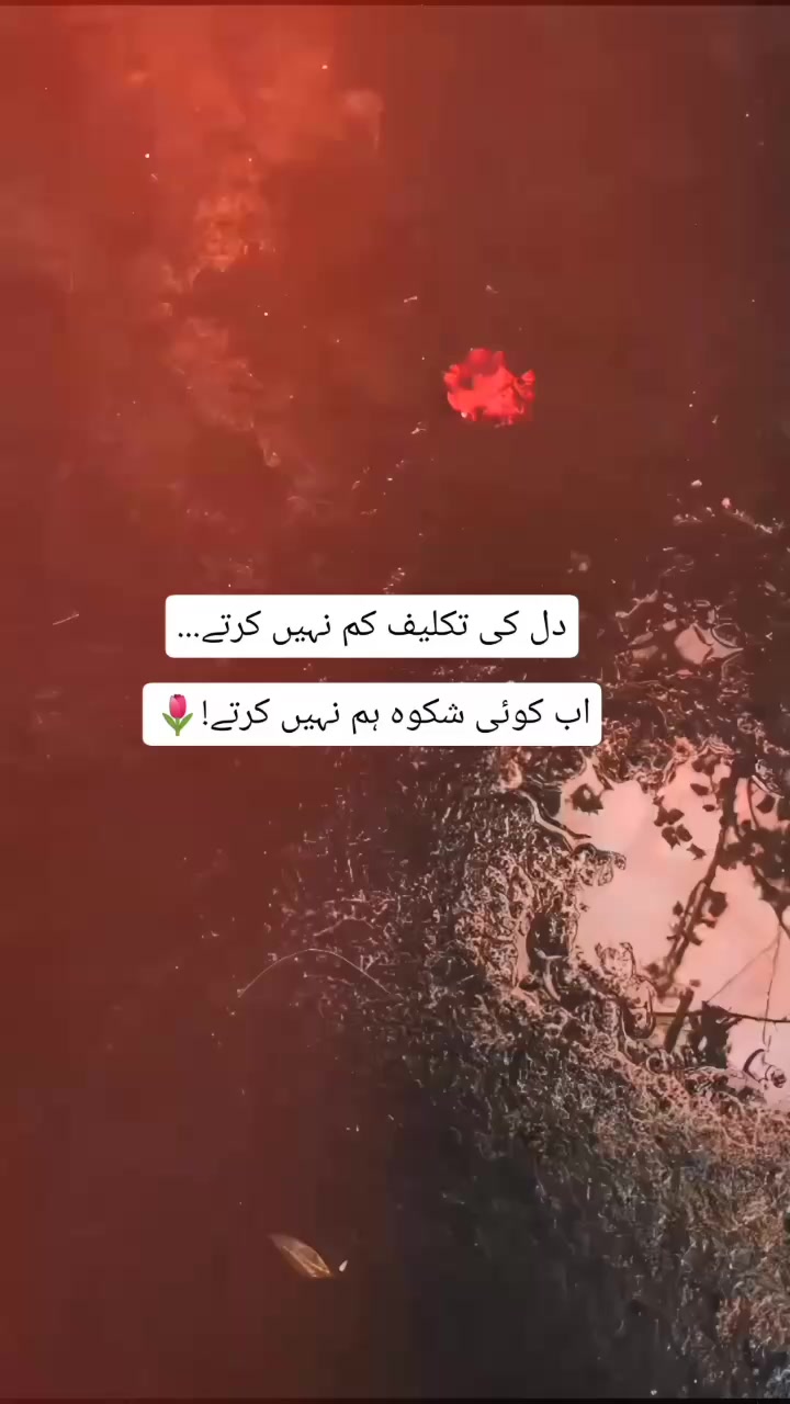 @𓆩🔥𓆪Tʀᴇɴᴅɪɴɢ𓆩🔥𓆪
