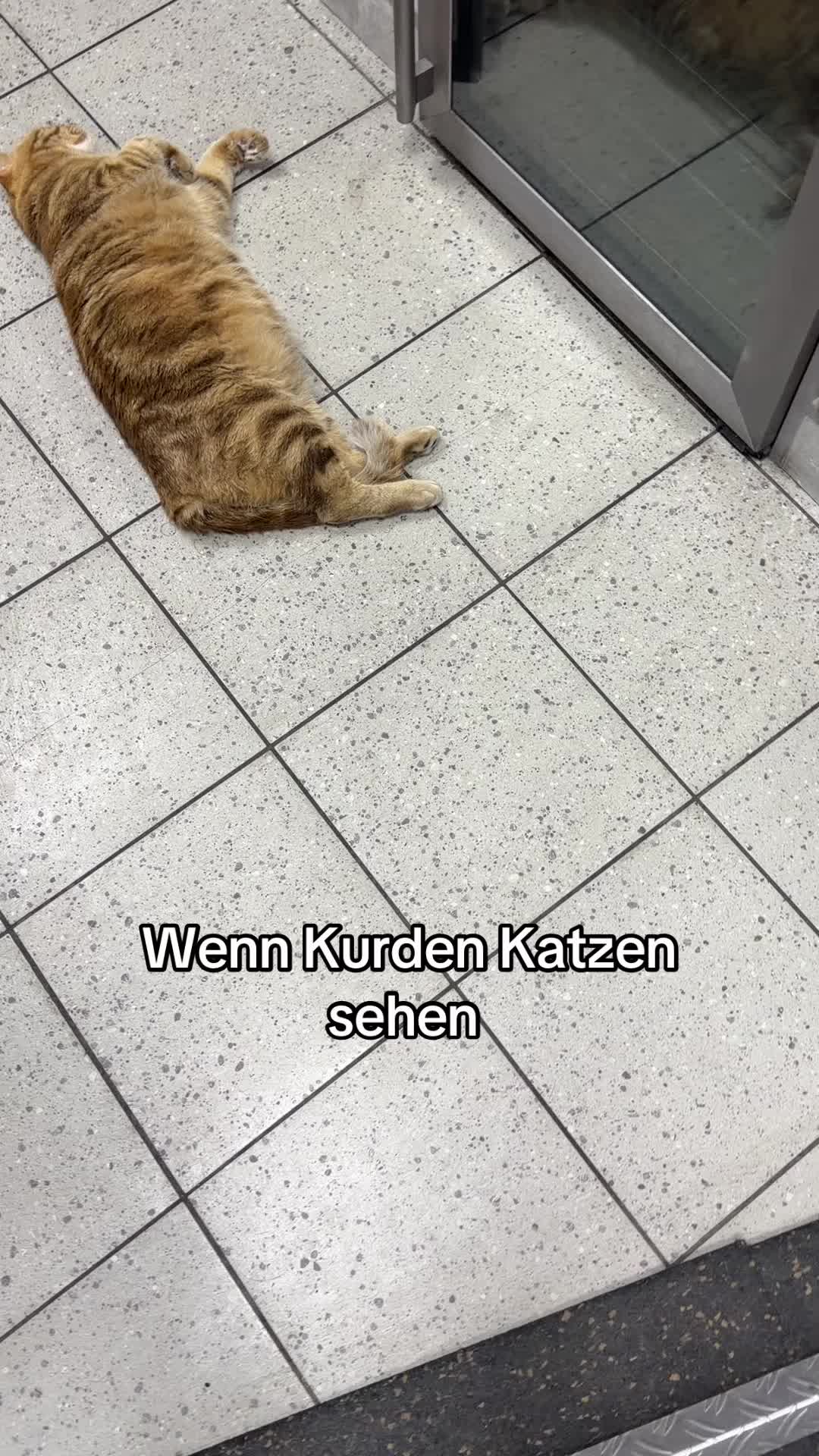 @XelkêMerdîn
