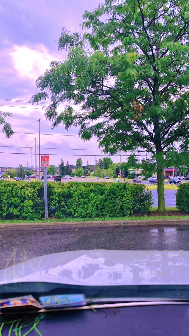 @Thavakutty 🇨🇦