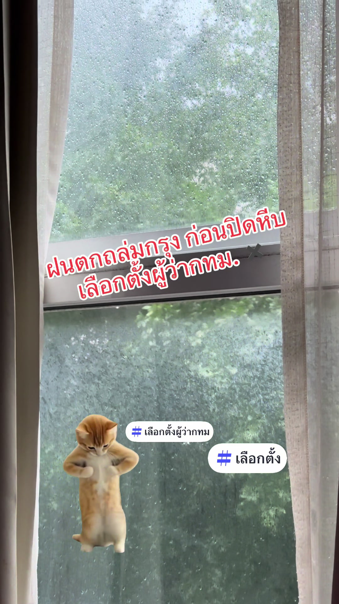 @ปู นิชทิพย์ ไกรนรา