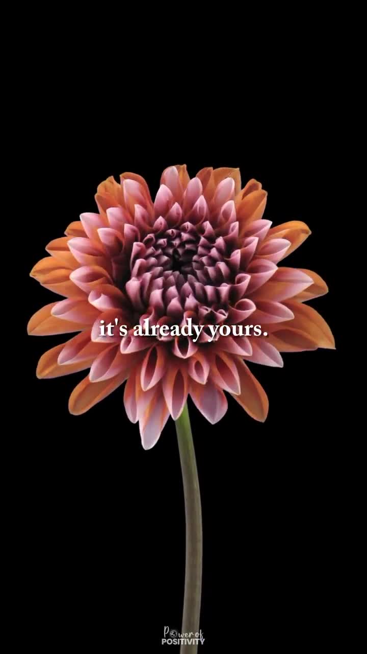 @mrshowtimelifecoaching