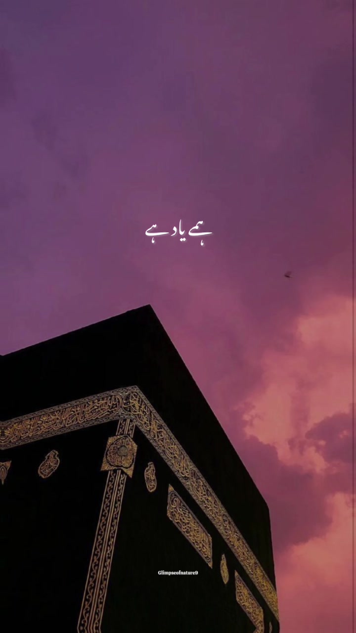 @🦋⃟𝗣𝗥𝗜𝗡𝗖𝗘𝗦𝗦࿐