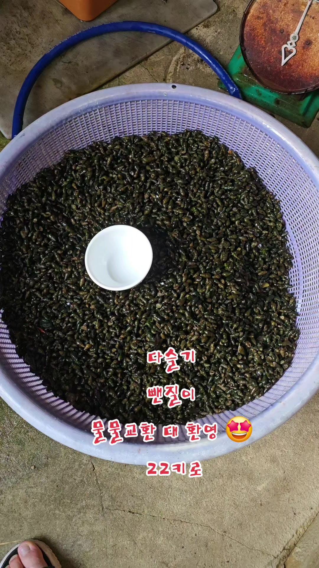 @나는 자연인이다 ~🤪