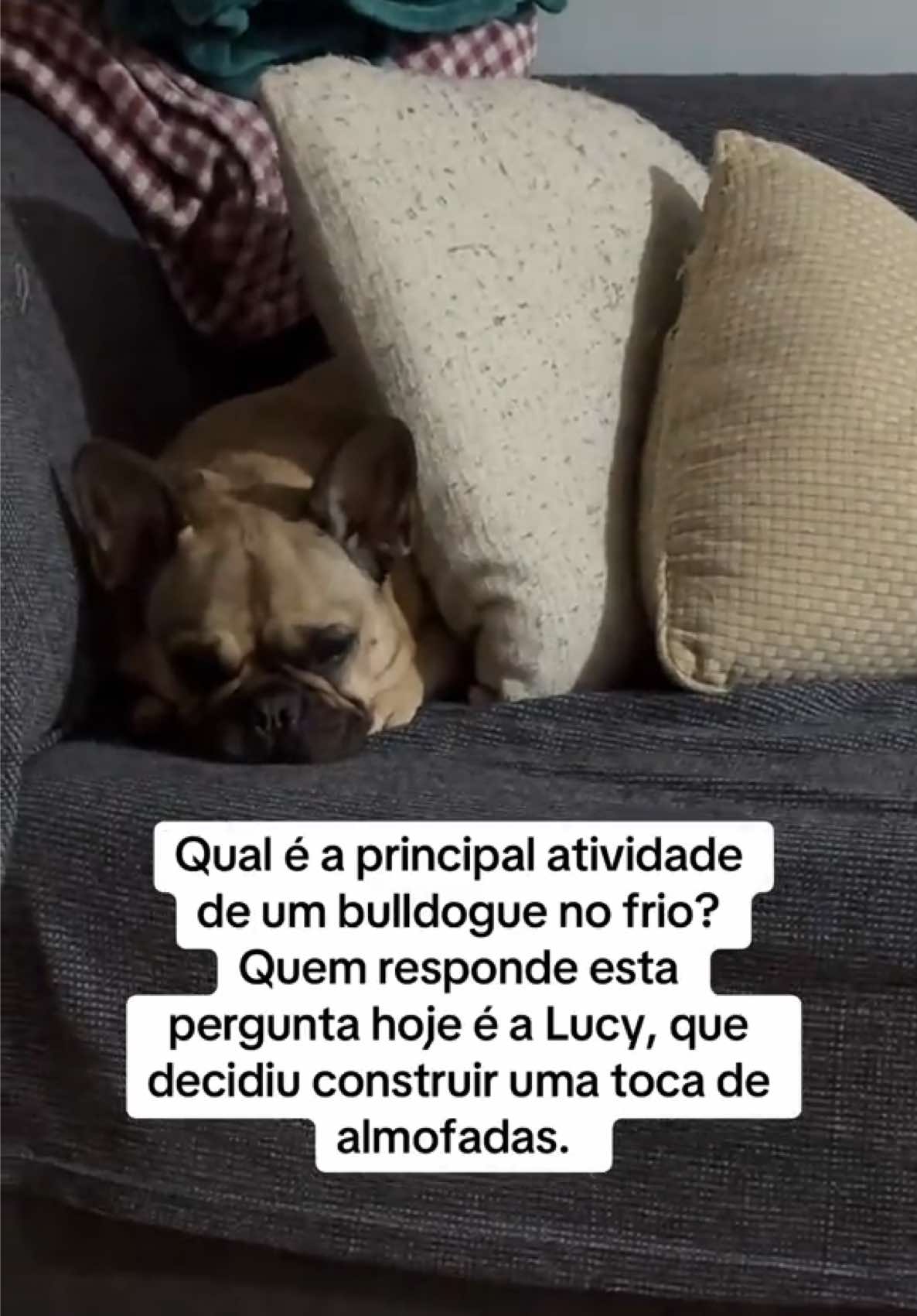 @Oi, Jude!