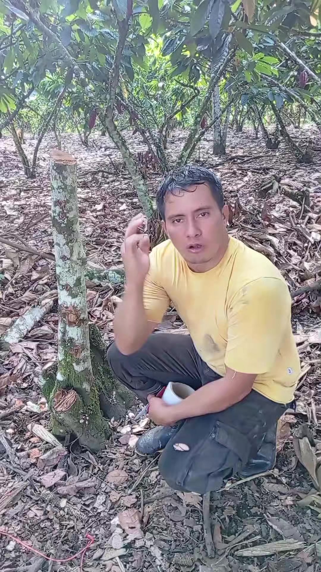 @Jairo desde el campo.