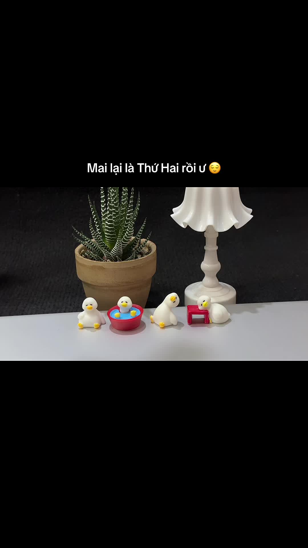 @Kim Hồng