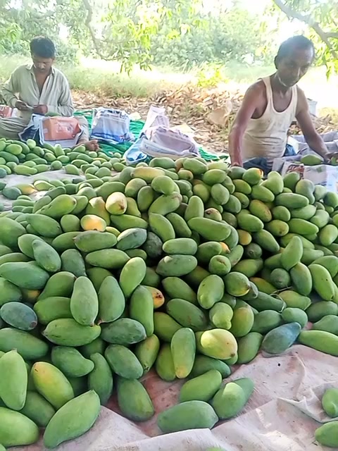 @Rajesh Panchal
