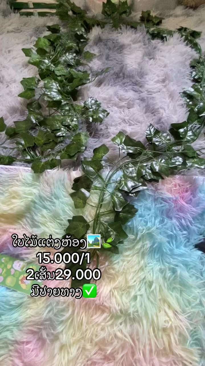@DAOMANY💫