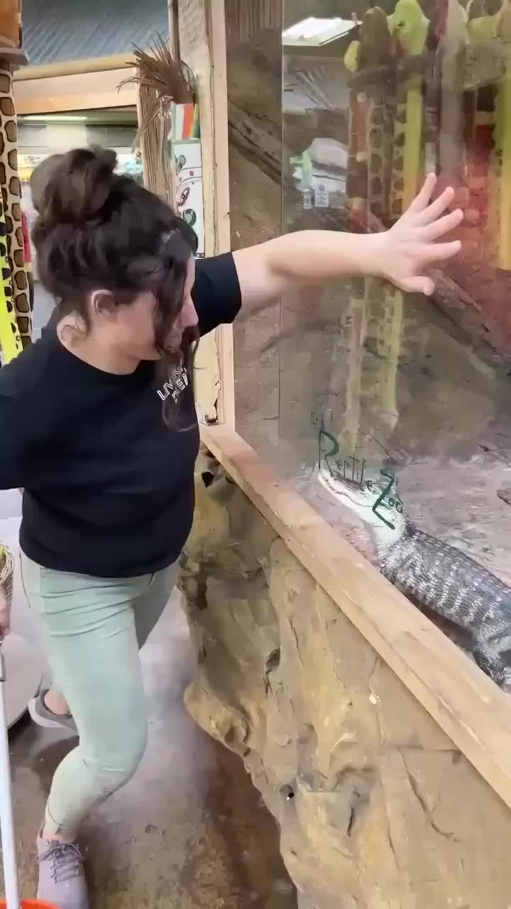 @The Reptile Zoo