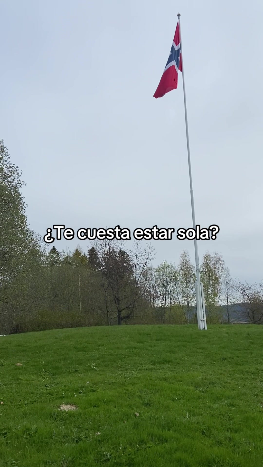@Ana Garla