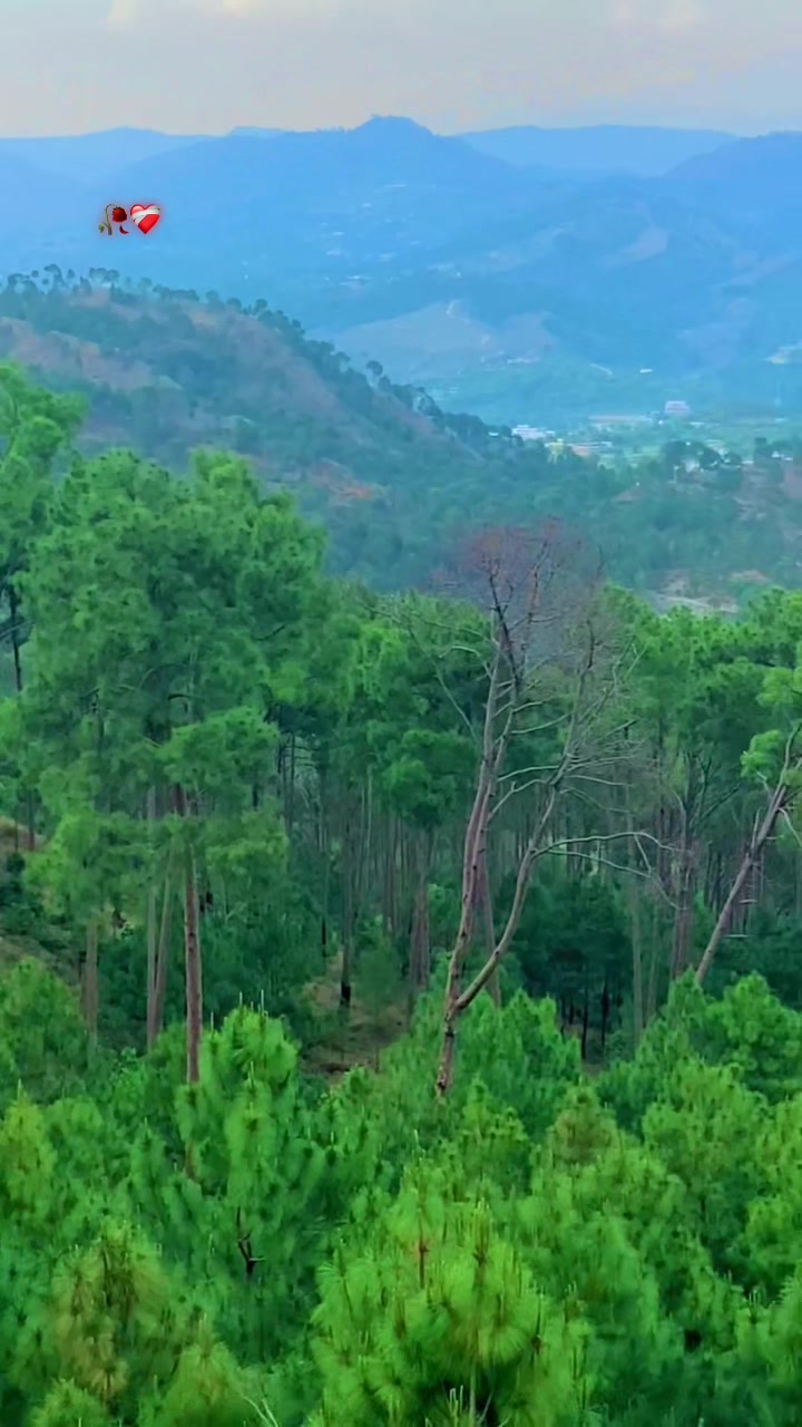 @🇬🇧عشاء