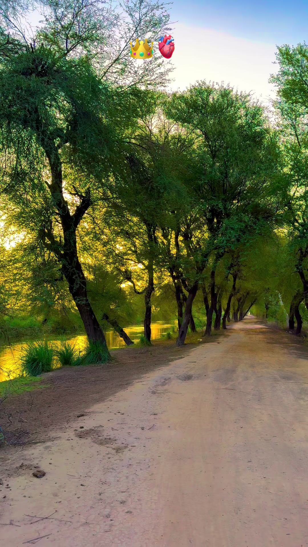 @پنجابی کلچر 🌾🍂
