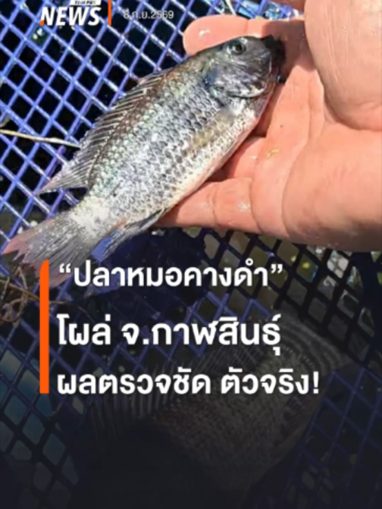 @Thai PBS news