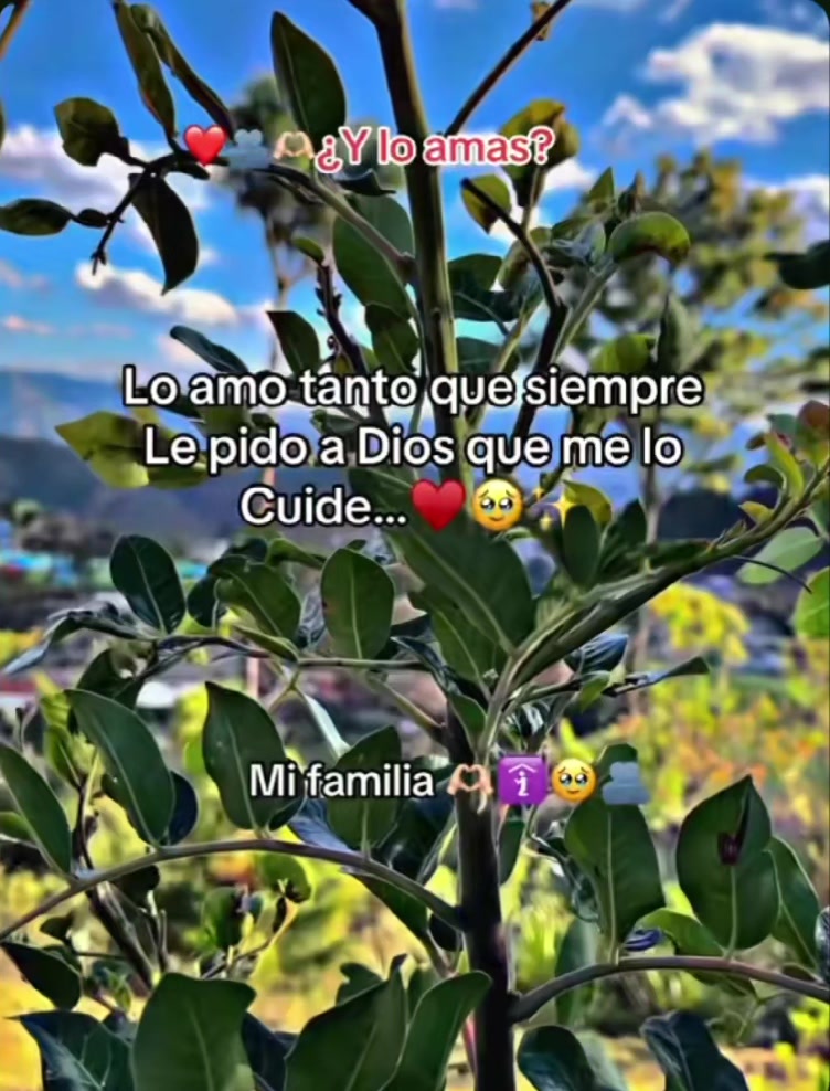 @🥺🥰 la  princesa 👸 chapina🥺